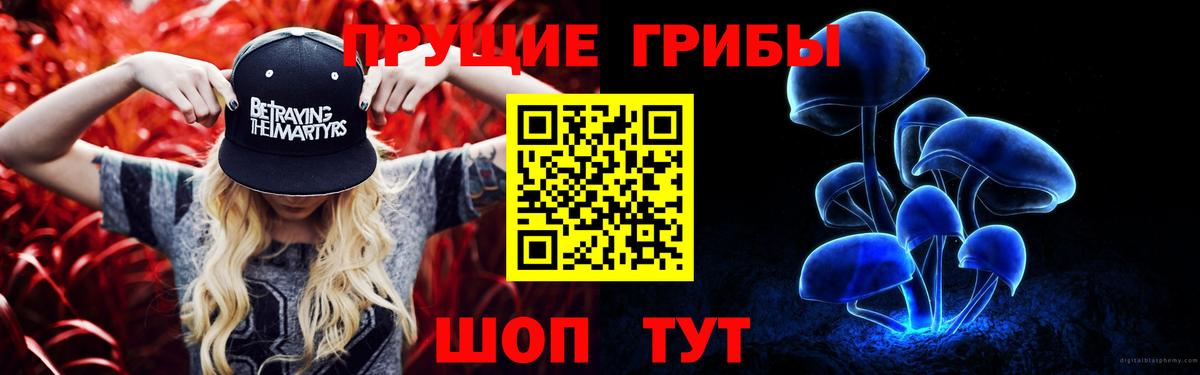 Псилоцибиновые грибы Cubensis  Вход с VPN  Сорочинск 